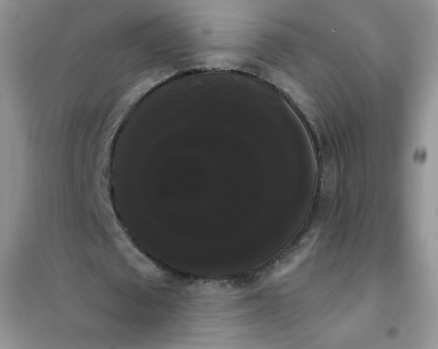 X0000101980673200808011100