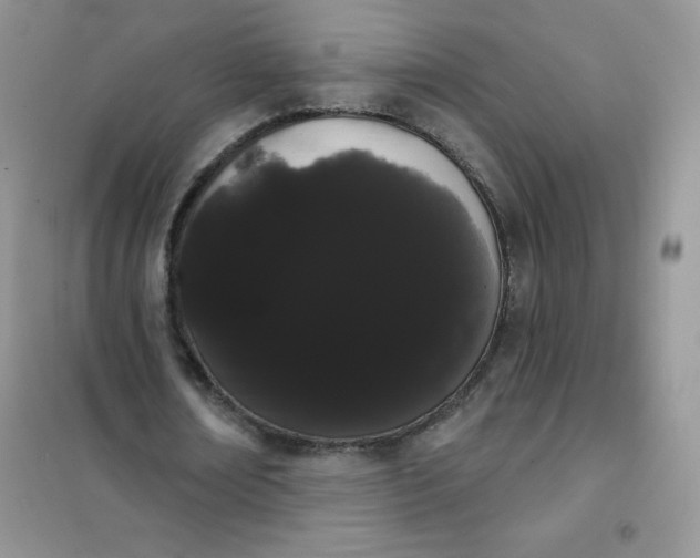 X0000101980674200808011100