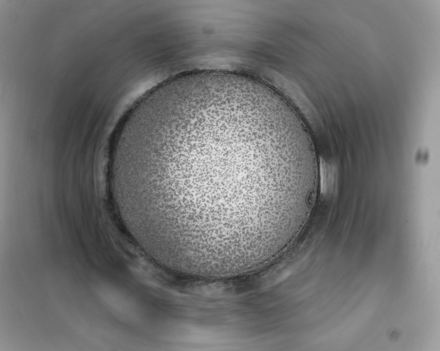 X0000101980675200808011100