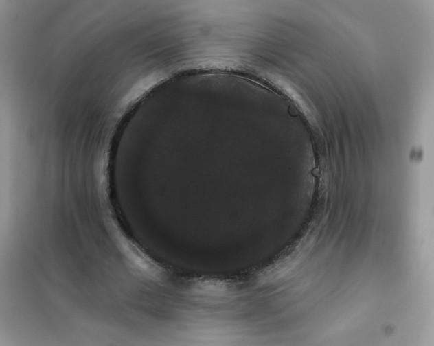 X0000101980677200808011100