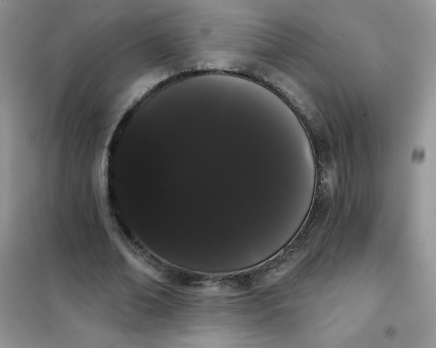 X0000101980678200808011100