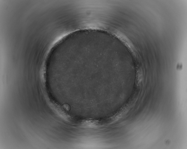 X0000101980680200808011100