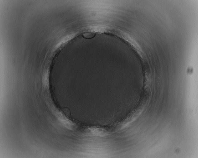 X0000101980681200808011100