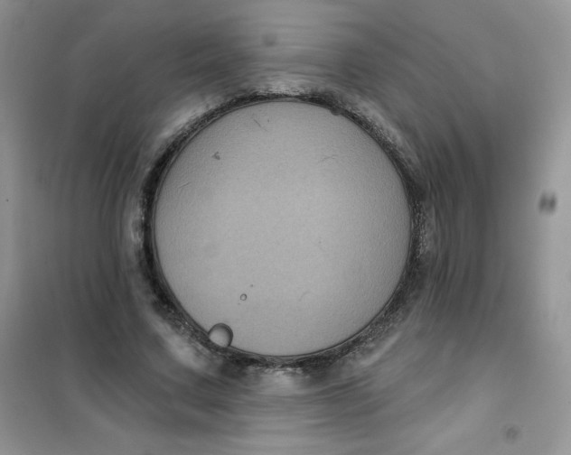 X0000101980683200808011100