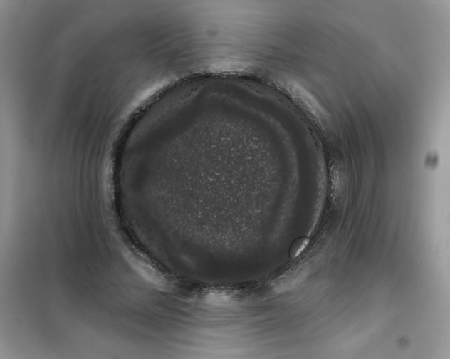 X0000101980684200808011100