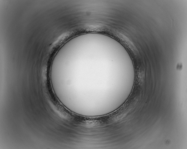 X0000101980686200808011100