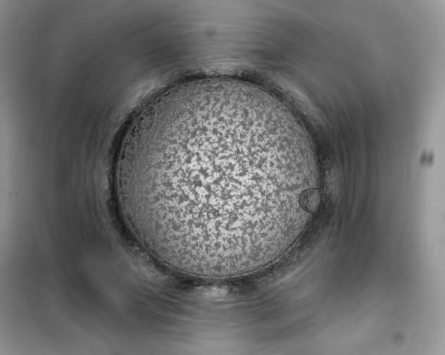 X0000101980687200808011100