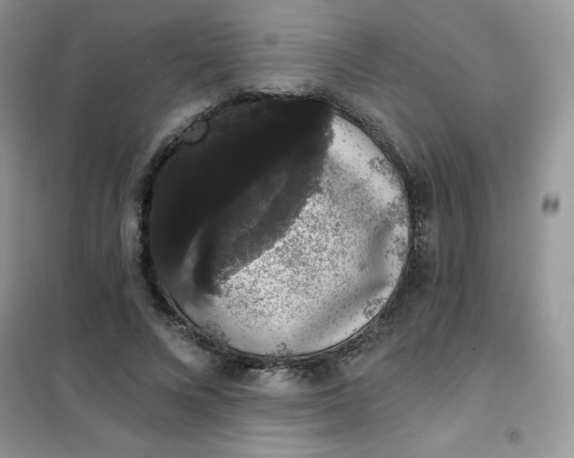 X0000101980688200808011100