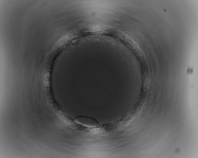 X0000101980689200808011100