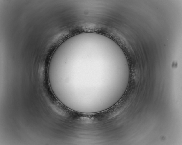 X0000101980690200808011100