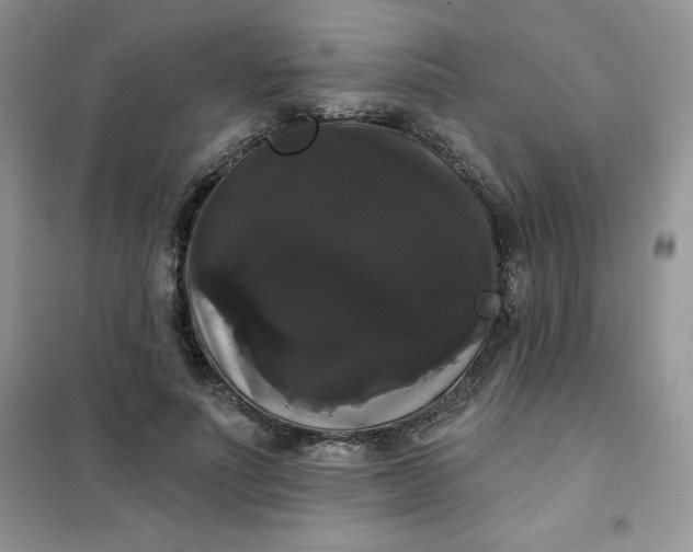 X0000101980691200808011100