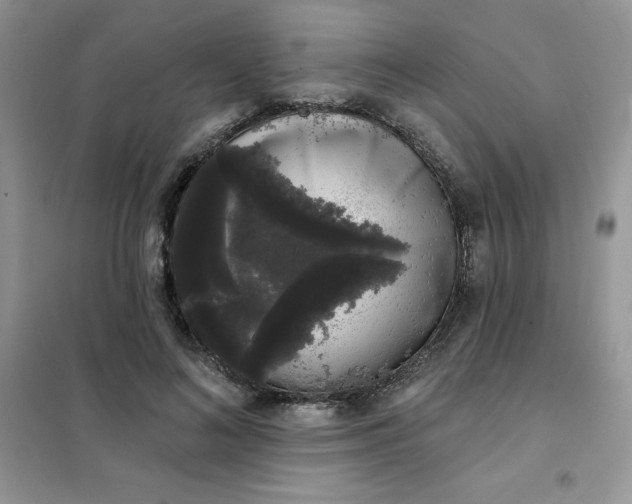 X0000101980692200808011100