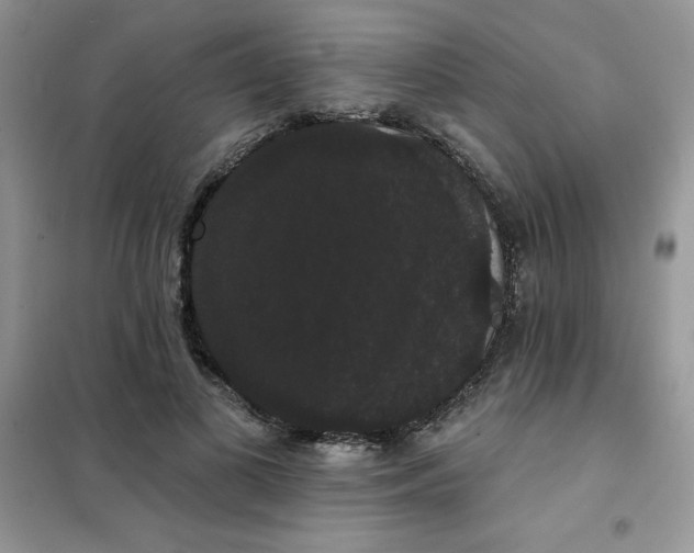 X0000101980693200808011100