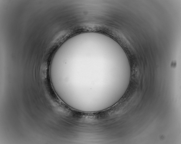 X0000101980694200808011100