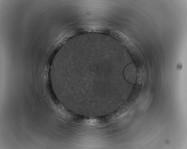 X0000101980695200808011100