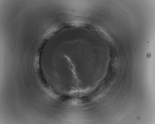 X0000101980696200808011100