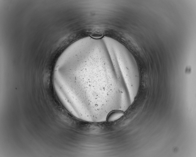 X0000101980697200808011100