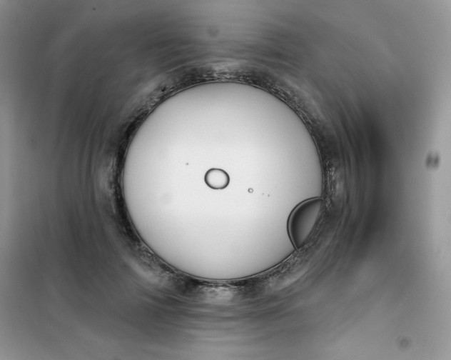 X0000101980698200808011100