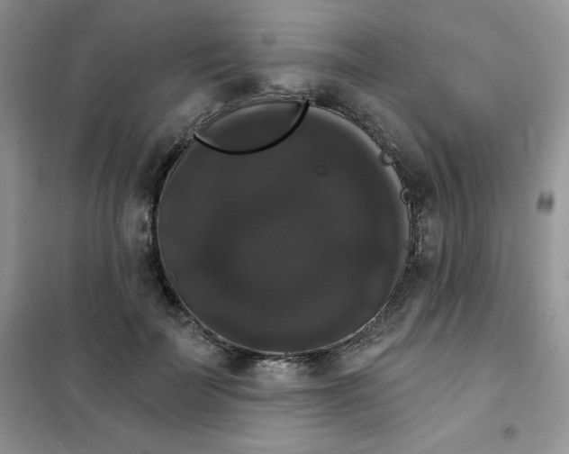 X0000101980699200808011100