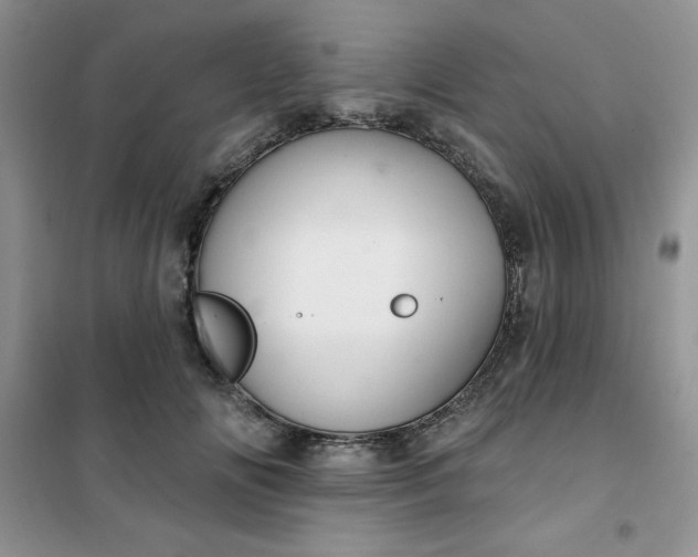 X0000101980702200808011100