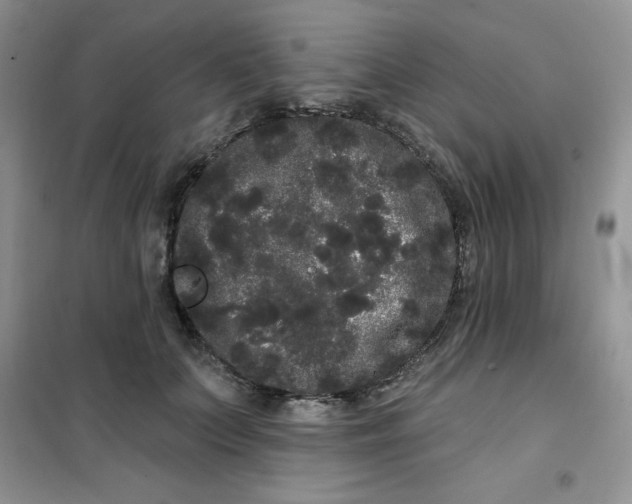 X0000101980703200808011100