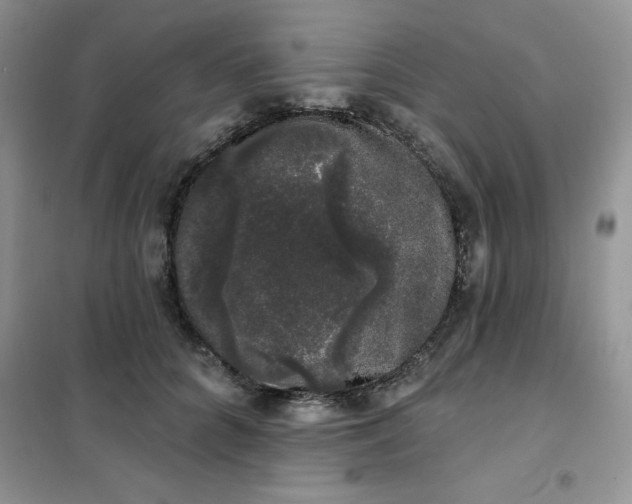 X0000101980704200808011100