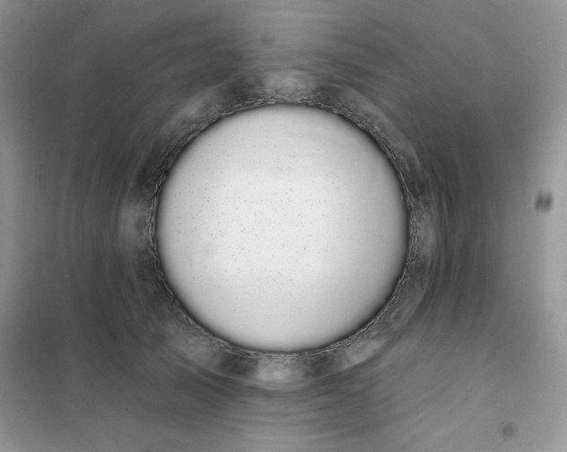 X0000101980705200808011100