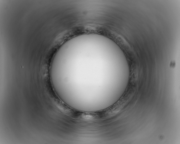 X0000101980706200808011100