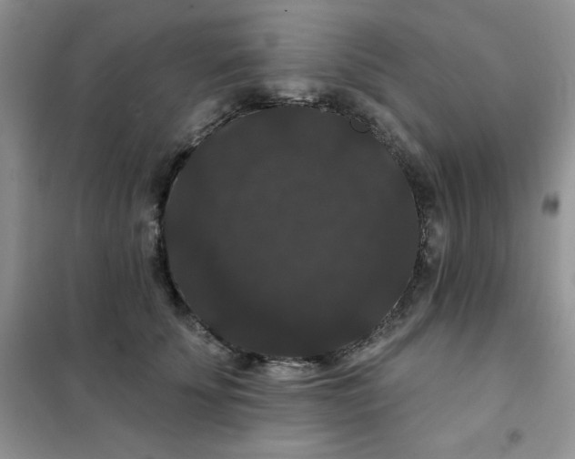 X0000101980707200808011100