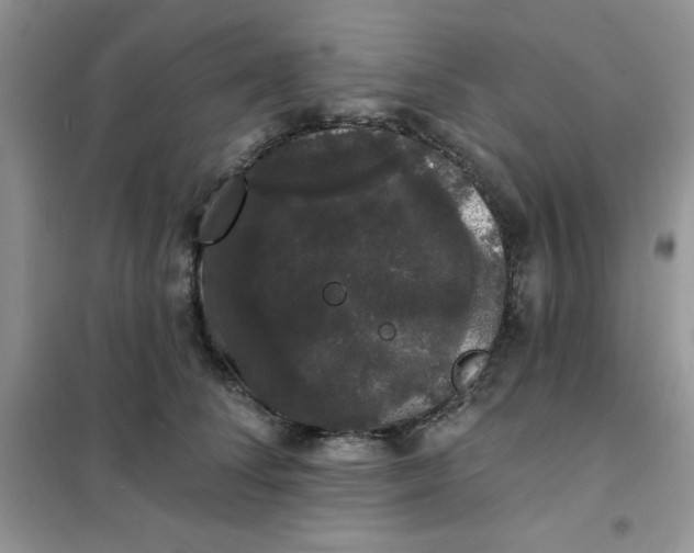 X0000101980708200808011100