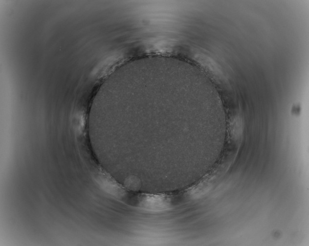 X0000101980709200808011100