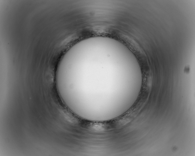 X0000101980710200808011100