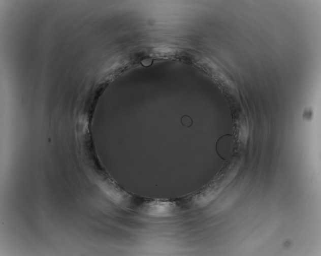 X0000101980711200808011100