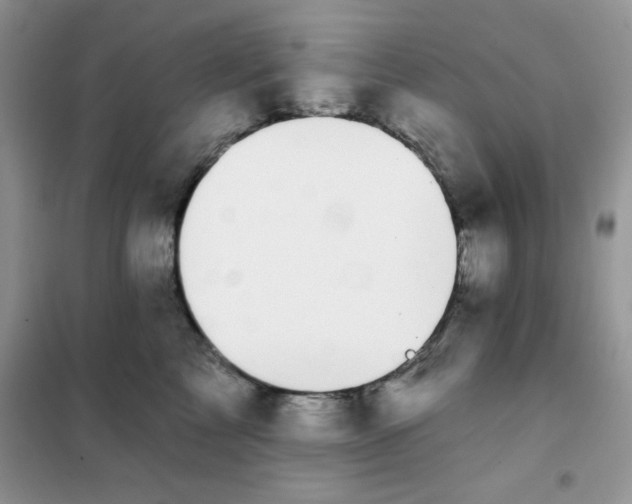 X0000101980713200808011100