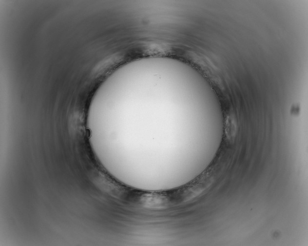 X0000101980714200808011100