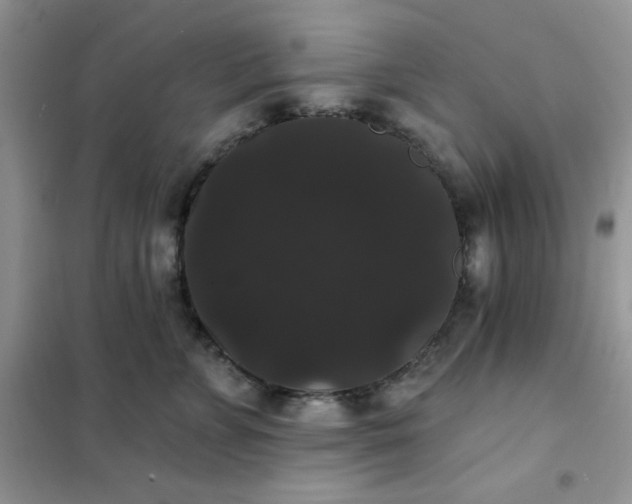 X0000101980715200808011100