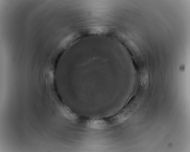 X0000101980716200808011100