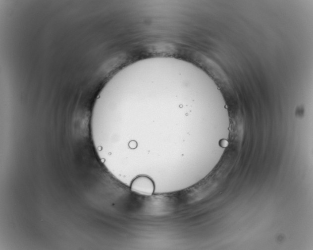 X0000101980717200808011100