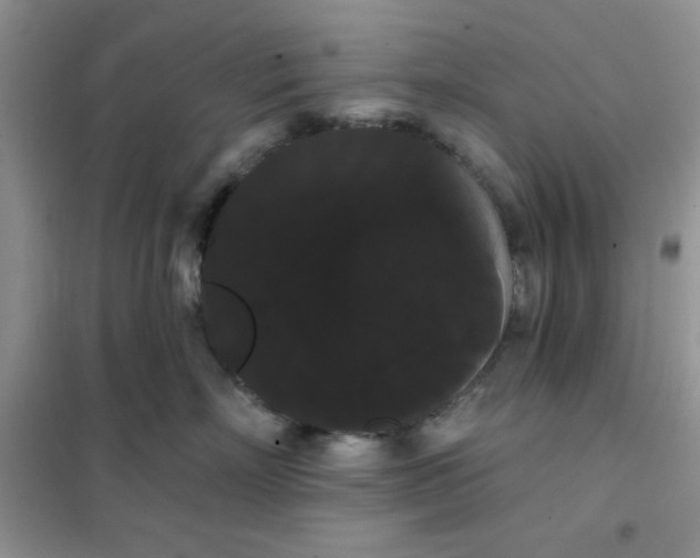 X0000101980718200808011100