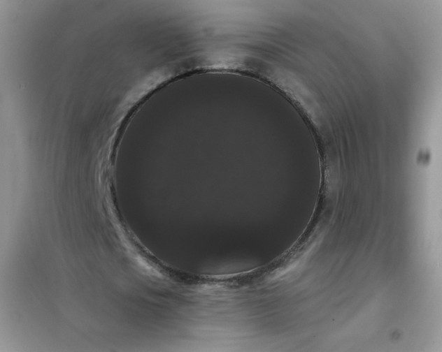 X0000101980721200808011059