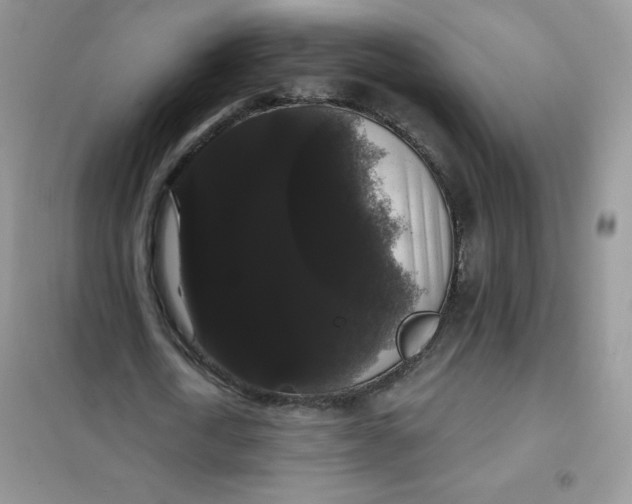 X0000101980722200808011059