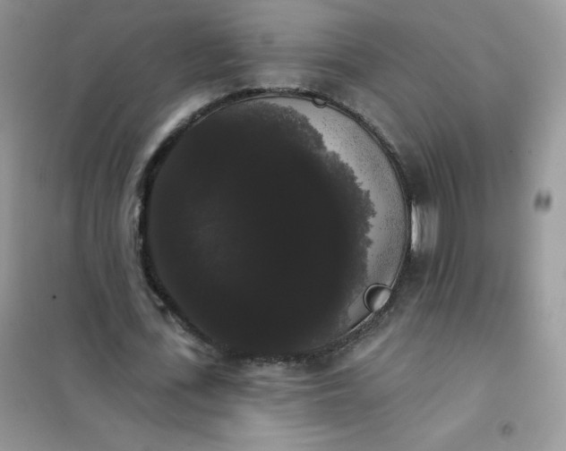 X0000101980723200808011059