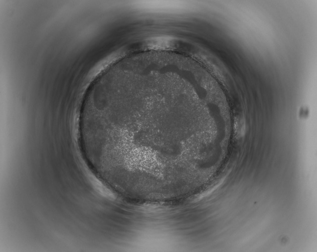 X0000101980725200808011059