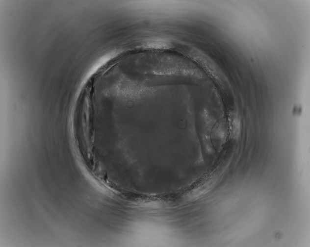 X0000101980726200808011059