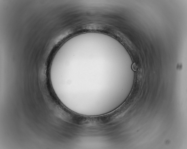 X0000101980727200808011059