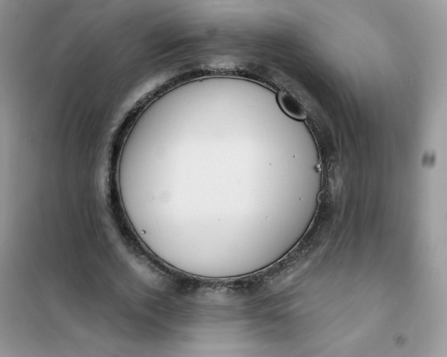 X0000101980728200808011059