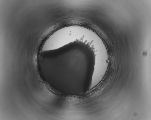 X0000101980729200808011059