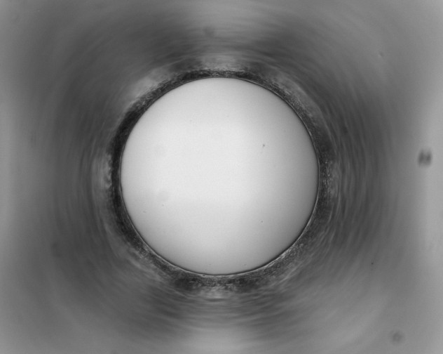 X0000101980731200808011059