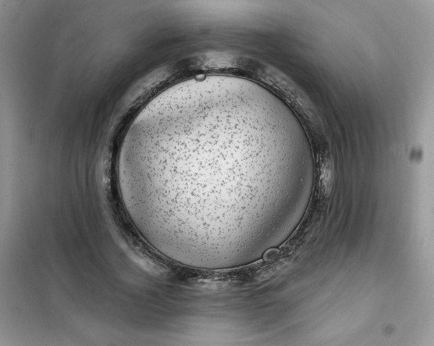 X0000101980732200808011059