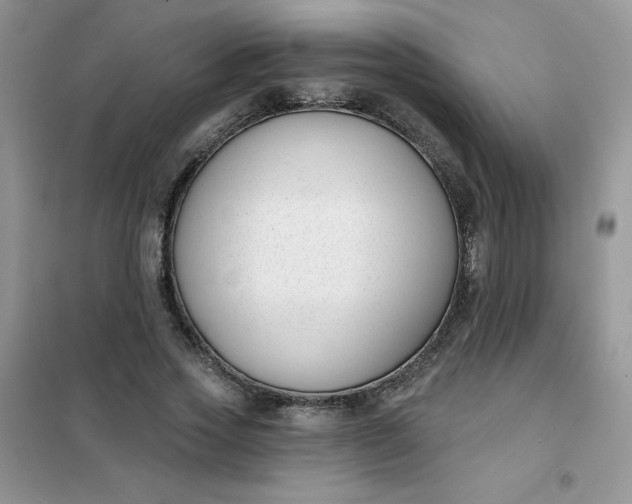 X0000101980733200808011059